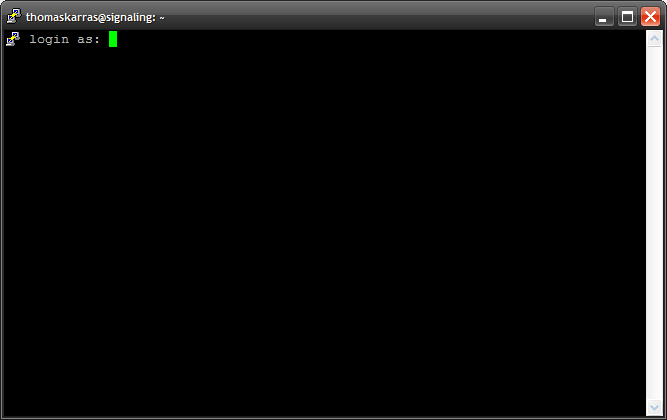 Datei:Putty2.png