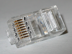 Datei:Rj45plug.png