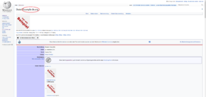 Wikipedia Artikel Suche Ergebnis Dateiseite.PNG