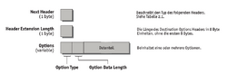 Img-040-018.png