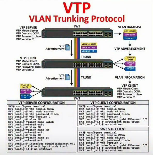 Datei:Vtp.png