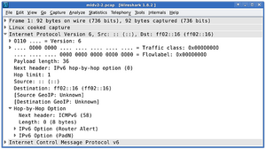 Ipv6MLDv2Header.png