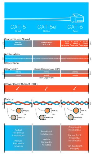 Cat-infograph (1).jpg