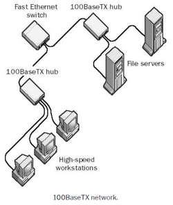 Netzwerk Layout 100Base-T.PNG