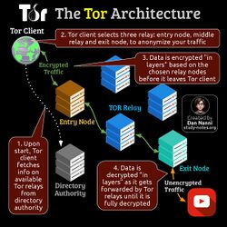 TorArchitecture.jpg
