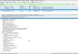 Wireshark Screenshot.png