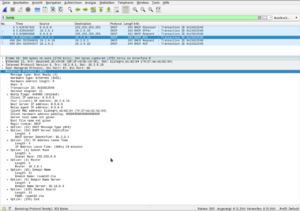 Wireshark Screenshot.png