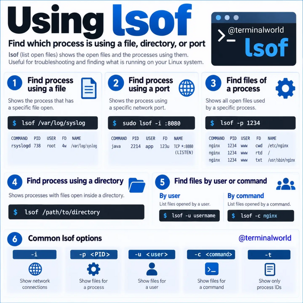 Datei:Lsof2.webp